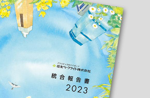 統合報告書