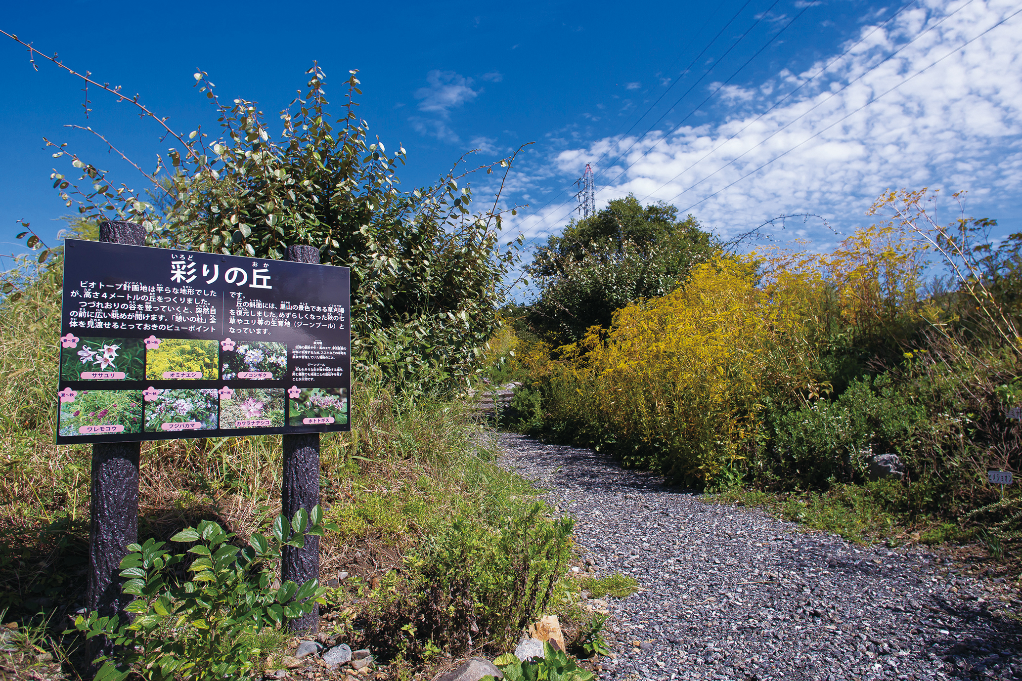 Photo:Biotope