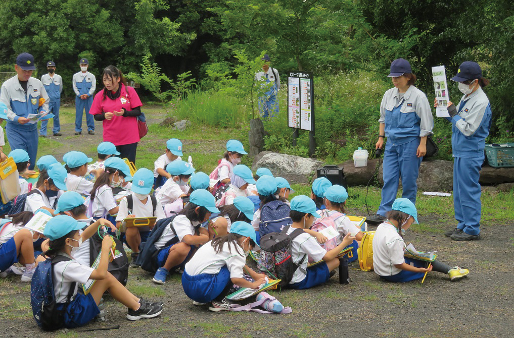Photo:excursions and lessons