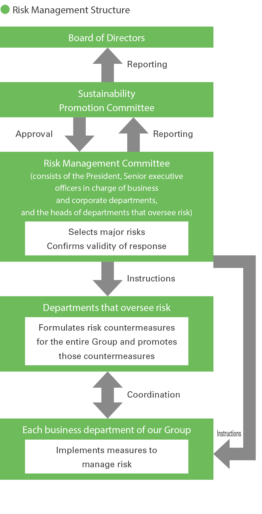 Risk Management Structure chart