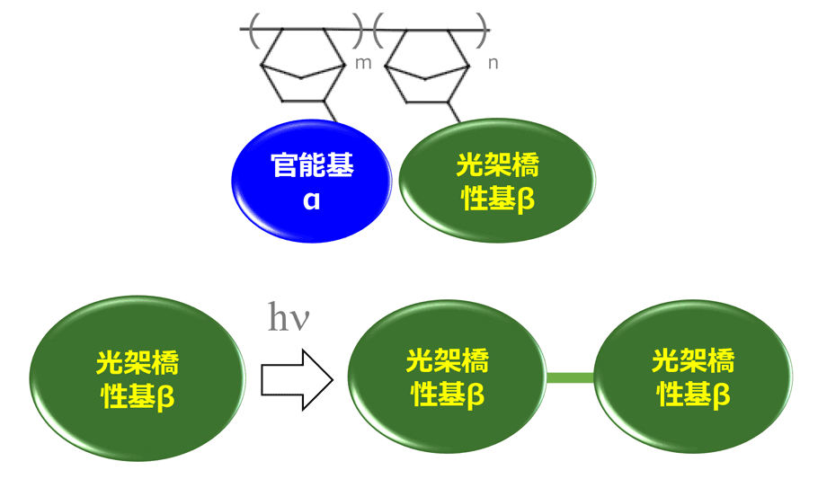 加熱フリー光硬化COP構造図