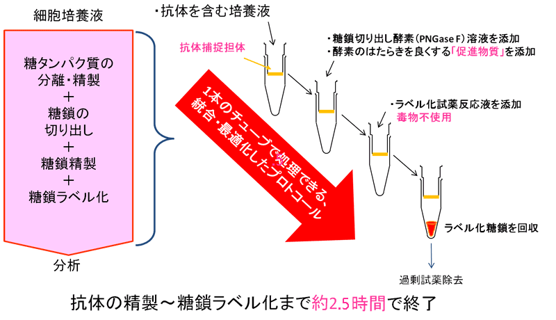 EZGlyco®のコンセプト